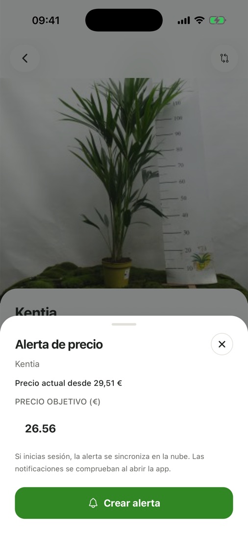 Alerta de precio para la Kentia con precio objetivo